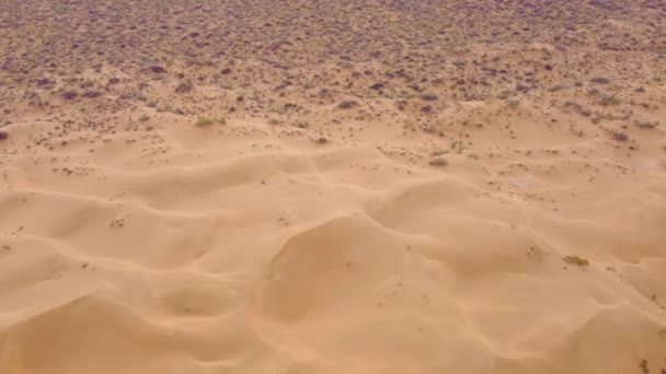 Flight Dunes Desert Beautiful Top View Kyzyl Kum Desert Kazakhstan — Vídeos de Stock