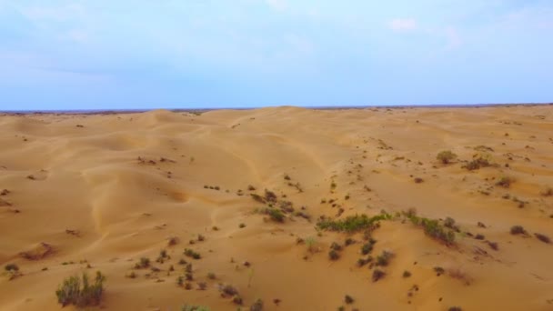 Flight Dunes Desert Beautiful Top View Kyzyl Kum Desert Kazakhstan — Wideo stockowe