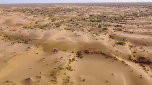 Flight Dunes Desert Beautiful Top View Kyzyl Kum Desert Kazakhstan — Stockvideo