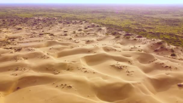 Flight Dunes Desert Beautiful Top View Kyzyl Kum Desert Kazakhstan — Stock video