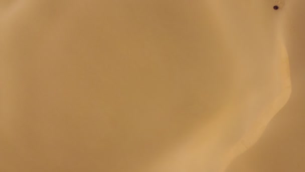 Текстура Піщаних Дюн Вид Зверху Вид Пустелю Кізілкум Якому Вечірньому — стокове відео