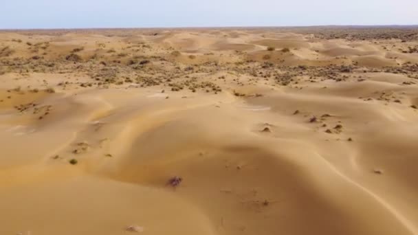 Flight Dunes Desert Beautiful Top View Kyzyl Kum Desert Kazakhstan — Stock video