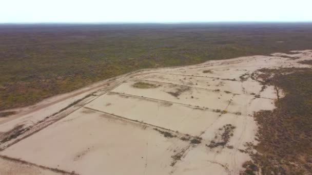 Flight Lifeless Part Kyzylkum Desert Covered Salt Overgrown Dunes Grass — Stock Video