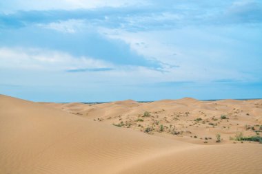 Bright blue cloudy sky over the yellow desert of Kyzylkum Kazakhstan. Rainy weather in the desert. Beautiful landscape of the desert of Central Asia