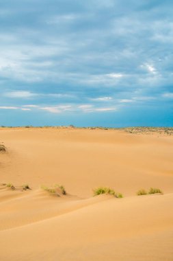 Bright blue cloudy sky over the yellow desert of Kyzylkum Kazakhstan. Rainy weather in the desert. Beautiful landscape of the desert of Central Asia