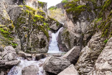 Dağ kayalıklarında şelale şelalesi. Kayalıklardan akan cennetin suyu