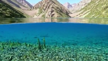 Bir dağ gölü yüzeyinin üstünde ve altında parlak yeşil yosunlar ve taşlarla mavi şeffaf sularda güzel bir sualtı manzarası görülür.