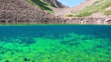 Bir dağ gölü yüzeyinin üstünde ve altında parlak yeşil yosunlar ve taşlarla mavi şeffaf sularda güzel bir sualtı manzarası görülür.