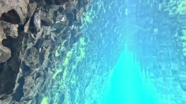 Bir dağ gölü yüzeyinin üstünde ve altında parlak yeşil yosunlar ve taşlarla mavi şeffaf sularda yüzen güzel bir sualtı manzarasını suların kenarında yansıtır. dikey kare