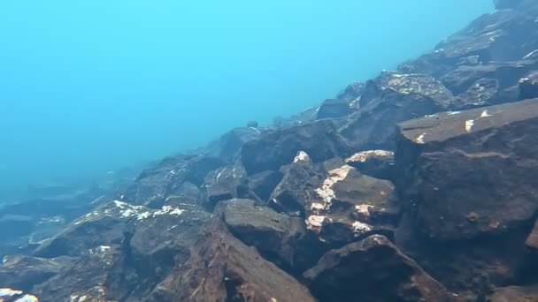 Widok Nad Pod Powierzchnią Górskiego Jeziora Piękny Podwodny Krajobraz Błękitnej — Wideo stockowe
