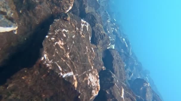Vista Sopra Sotto Superficie Lago Montagna Bellissimo Paesaggio Subacqueo Acqua — Video Stock