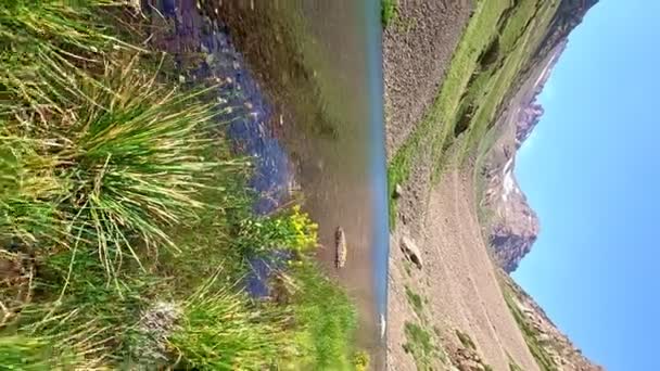 Vue Sur Lac Pittoresque Dans Réserve Aksujabaglinsky Lac Entre Les — Video