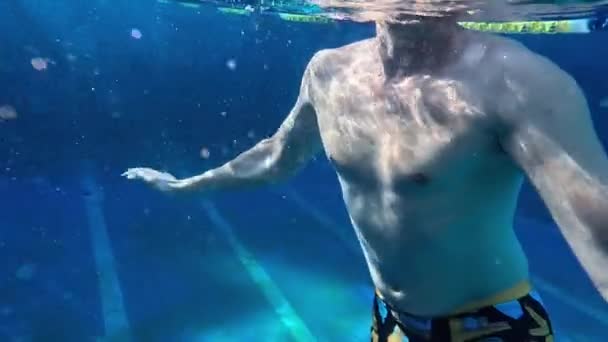 Unterwasseraufnahme Eines Mannes Der Einem Blauen Pool Natürlichen Sonnenlicht Schwimmt — Stockvideo