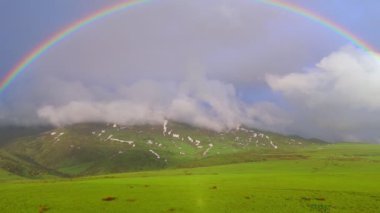 Parlak bir gökkuşağı yeşil bir tarlanın önünde asılı, yağmurdan sonra mavi. Parlak renkleri LGBT topluluğunu ve çeşitliliği sembolize ediyor ve manzaraya bir neşe ve umut atmosferi getiriyor. Gökyüzü...
