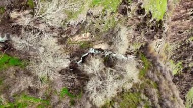 Kanyonun kuş bakışı görüntüsü açılıyor. Kuru ağaçlar kanyon arasında görülebilir, taş oluşumlarıyla zıtlık yaratır ve manzaraya özel bir doku ve karakter katar..