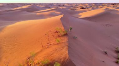 Zıt dokulara sahip dalgalı kum tepeciklerinin havadan görünüşü. Sabah ışığı yumuşak gölgeler bırakır, doğal çöl şekillerini ortaya çıkarır..