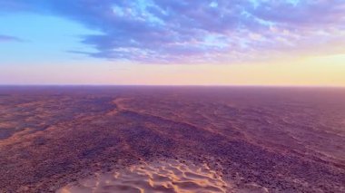 Kum tepeleri ve seyrek çalılarla gün doğumunda geniş çöl manzarası. Pastel gökyüzü, manzaranın dinginliğini ve enginliğini arttırır..