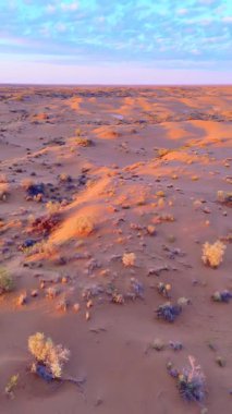Güneşin doğuşunda ya da batışında kum tepelerinin drone üstgeçidi. Yumuşak ışık, pürüzsüz çöl şekilleri ve berrak gökyüzü dingin ve huzurlu bir hava yaratır..