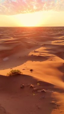 İnsansız hava aracı tarafından ele geçirilen kum tepelerinin üzerinde şafak vakti. Yumuşak ışık kumun altın dalgalarını boyar, sıcaklığı ve sonsuzluğu anımsatır..