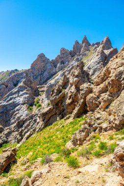 Güneşli bir günde, yeşil yamaçların üzerinde Rocky dağları yükselir.