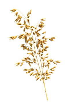 3d render yulafları (kırpma yolu)