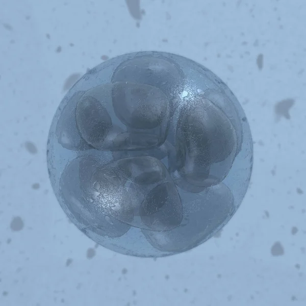 Décryptage Défocalisé Embryon — Photo