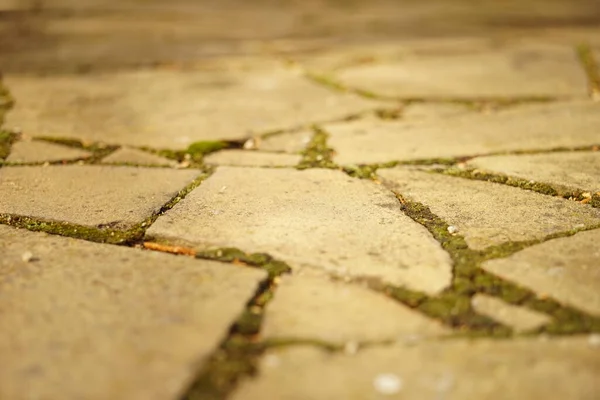 Starý Dlážděný Chodník Hnědého Kamene Mechem Detailní Pohled — Stock fotografie