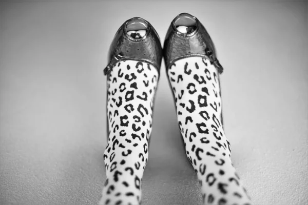 stock image Female legs in leopard print tights and patent leather shoes on a bed. BW photo