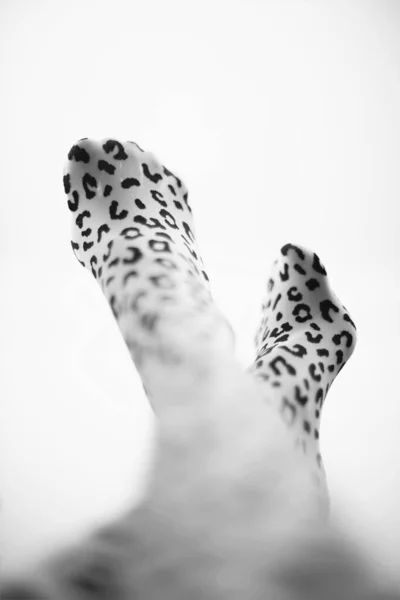 Kobiece Nogi Rajstopach Lamparta Zbliżenie Zdjęcie — Zdjęcie stockowe