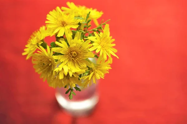 红桌上的黄色花朵 — 图库照片