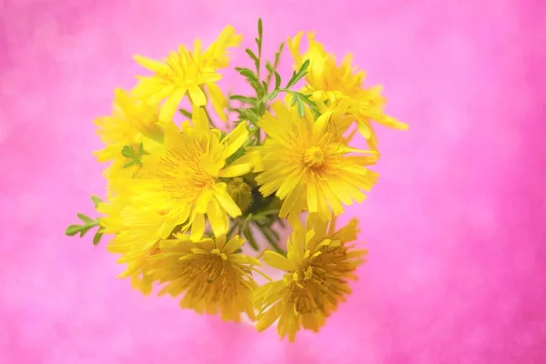 Gelbe Blumensträuße Auf Dem Rosafarbenen Tisch — Stockfoto