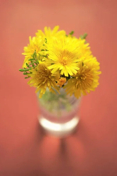 褐色桌子上的黄色花朵 艺术卡片 — 图库照片
