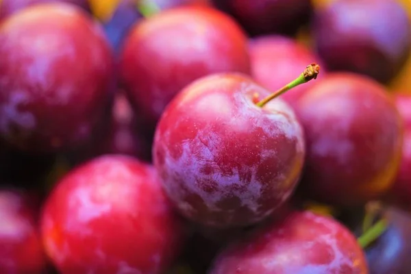 Purple Plums Background Fresh Summer Fruits — Stok fotoğraf
