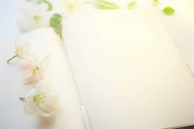 Boş çarşaflar ve elma çiçekleri içinde bir kalemle açık bir kitap. İlham konsepti bahar havasında yaratma veya yazma