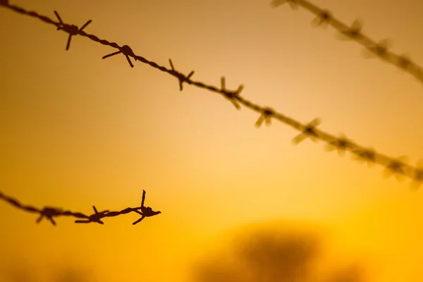 Black Barbed Wire Fence Orange Sunset — Stock Photo, Image