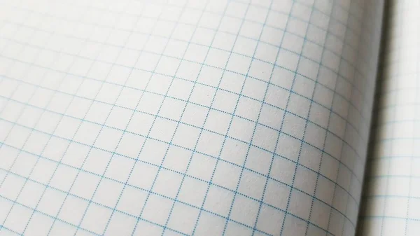 Open checkered notebook, paper background spread