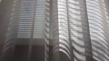 Armut ağacı, cam bir masanın üzerinde çiçek açıyor..