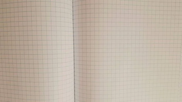 New opened checkered notebook, paper background spread