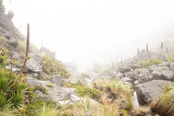 Dağların güzel manzarası