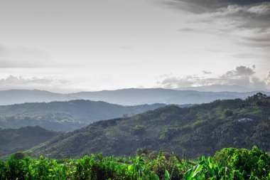 Dağlardaki mükemmel Kolombiya manzaraları.