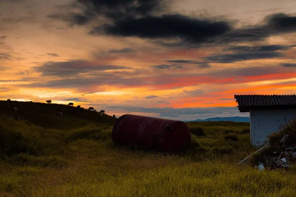 Güzel kırsal gün batımı - Santagueda Filistin - Kolombiya