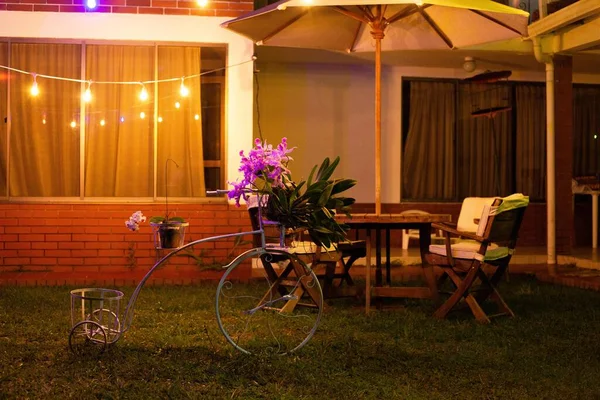 Bisikletli bahçe çiçekleri - orkide