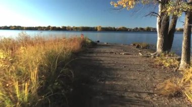 Bir tarafında renkli ağaçlar olan ve nehre doğru ilerleyen bir yol üzerinde havada uçan drone videosu.