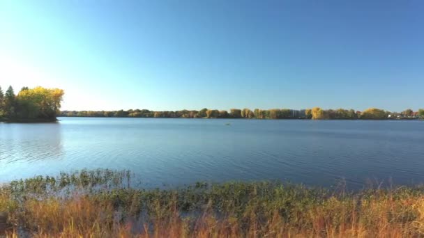 晴朗的秋日 空中无人驾驶飞机在河边高高的草地上从右到左呼啸着 — 图库视频影像