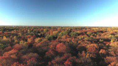Renkli ağaçların üzerinde yükselen hava aracı videosu, şehrin manzarası ve daha uzakta bir göl var.