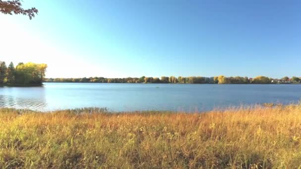 在一个晴朗的秋日 空中无人驾驶飞机的视频在河畔的高高的草地上飞驰而过 — 图库视频影像