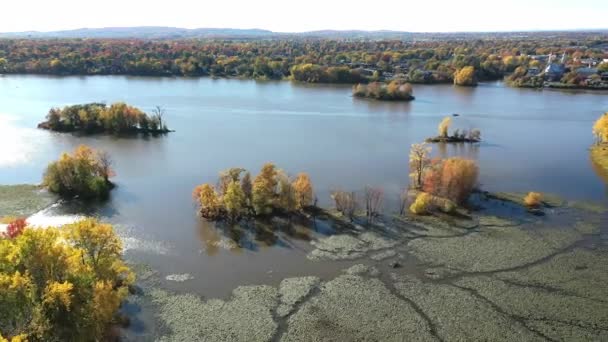 水と秋のカラフルな木の太陽の反射でミールアイレス川をゆっくりと後方に移動する空中ドローンショット — ストック動画