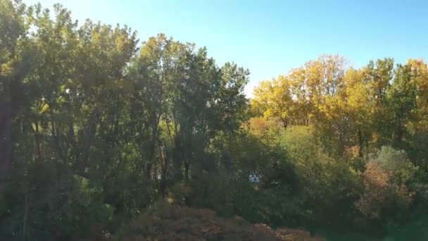 ドローンクレーンは ラヴァル オウエストとSt Eustacheの間のミルズアイレス川を明らかにするカラフルな木の上に上昇を撮影しました — ストック動画