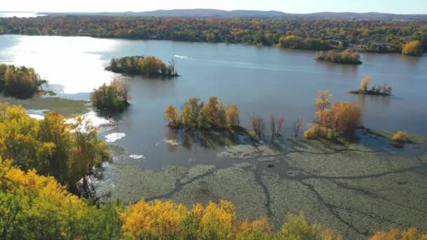 Αεροπλάνο Drone Κινείται Προς Εμπρός Πάνω Από Τον Ποταμό Mille — Αρχείο Βίντεο