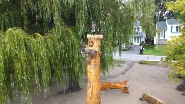 ラバル オウエストビーチの彫刻された木のビデオ 周辺のビーチを示すバックアップ — ストック動画